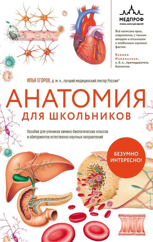 Анатомия для школьников. Пособие для учеников химико-биологических классов и абитуриентов естественно-научных направлений