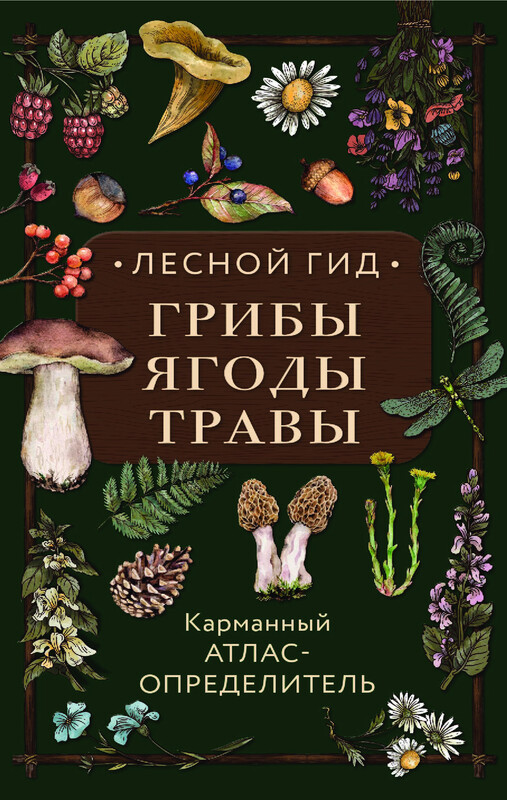 Лесной гид: грибы, ягоды, травы. Карманный атлас-определитель, Людмила Семенова