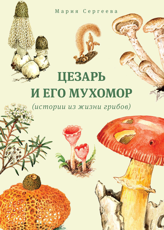 Цезарь и его мухомор (истории из жизни грибов)