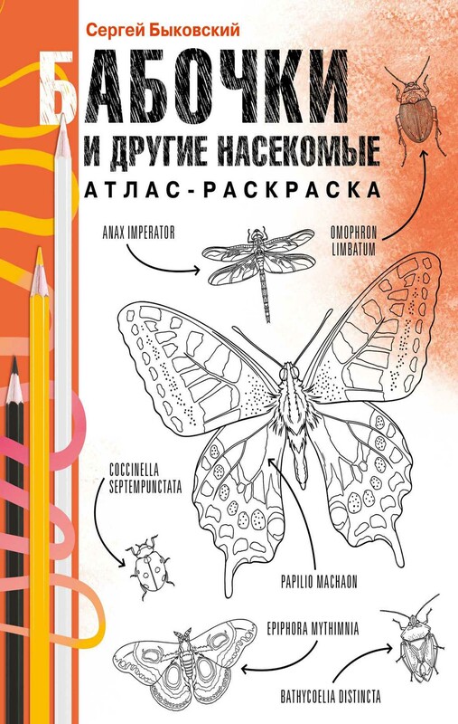 Бабочки и другие насекомые. Атлас-раскраска