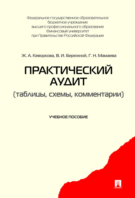 Практический аудит (таблицы, схемы, комментарии). Учебное пособие