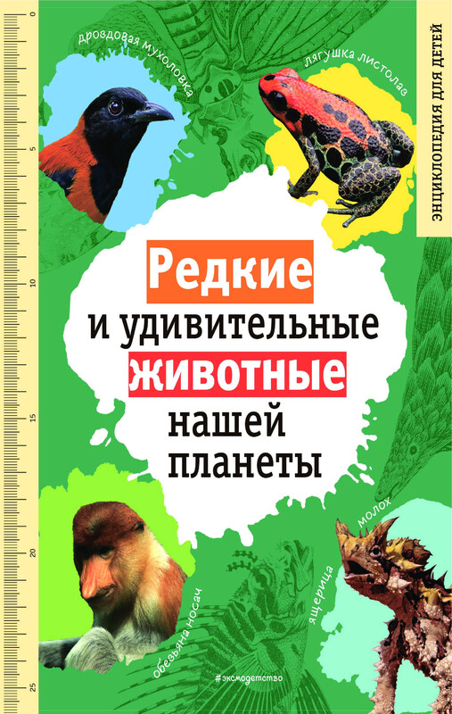 Редкие и удивительные животные нашей планеты. Энциклопедия для детей