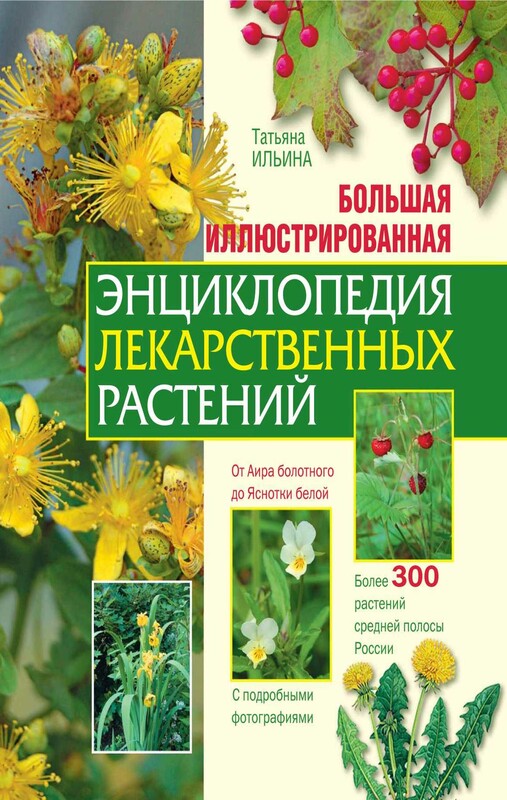 Большая иллюстрированная энциклопедия лекарственных растений