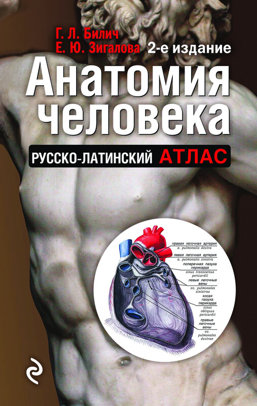 Анатомия человека. Русско-латинский атлас