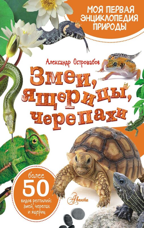 Змеи, ящерицы, черепахи