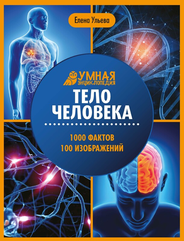 Тело человека: энциклопедия