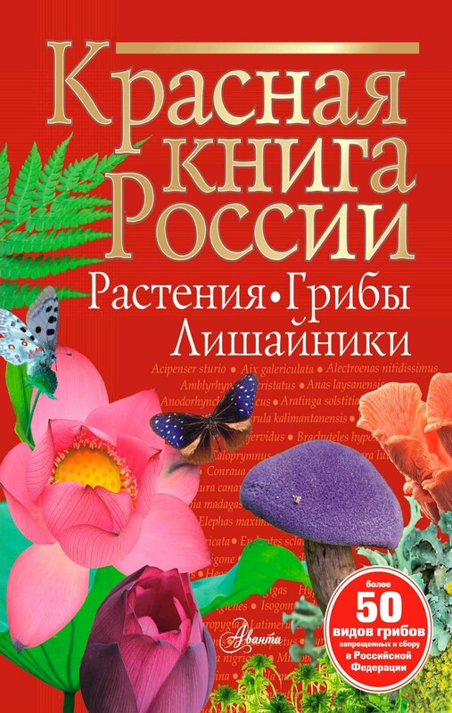 Красная книга России. Растения Грибы Лишайники