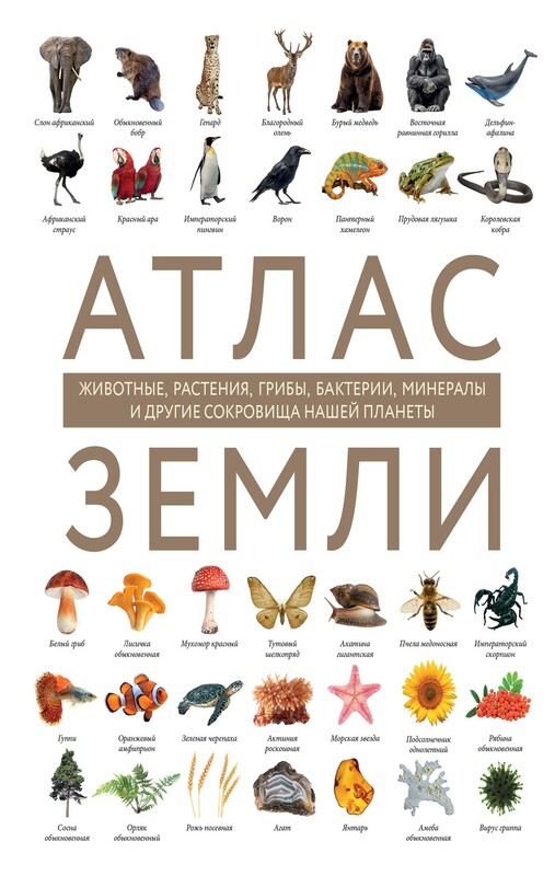 Атлас Земли. Животные, растения, грибы, бактерии, минералы и другие сокровища нашей планеты, Регина Михайлова