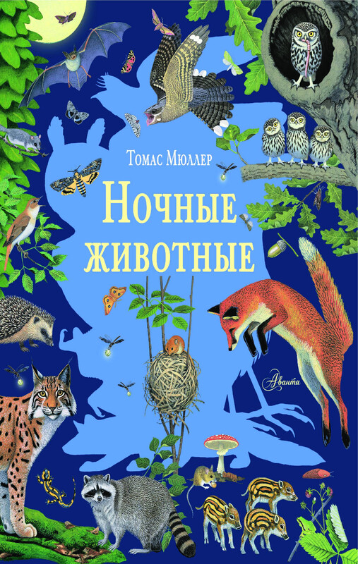 Ночные животные