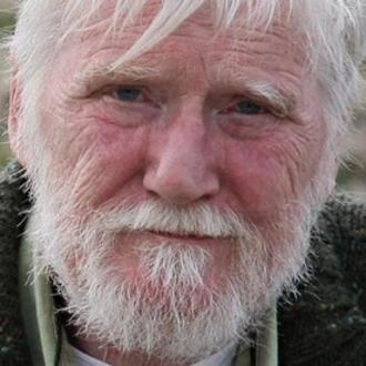 Dermot Healy