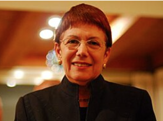 Анита Шапира