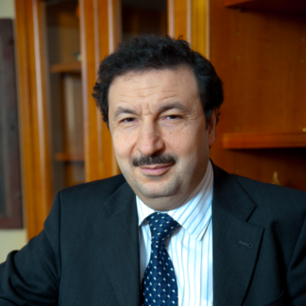 Владимир Мау