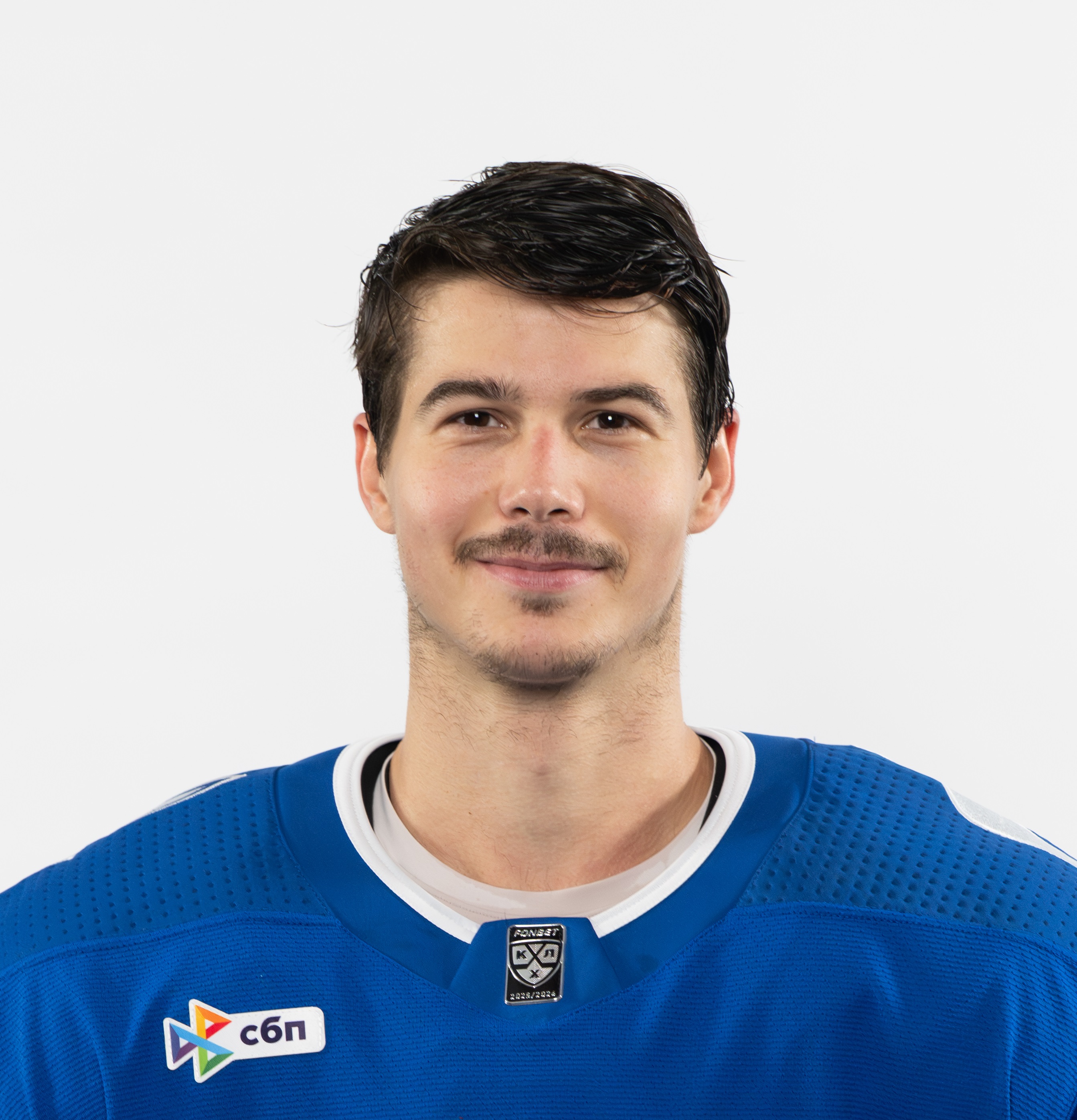 Николай Голдобин