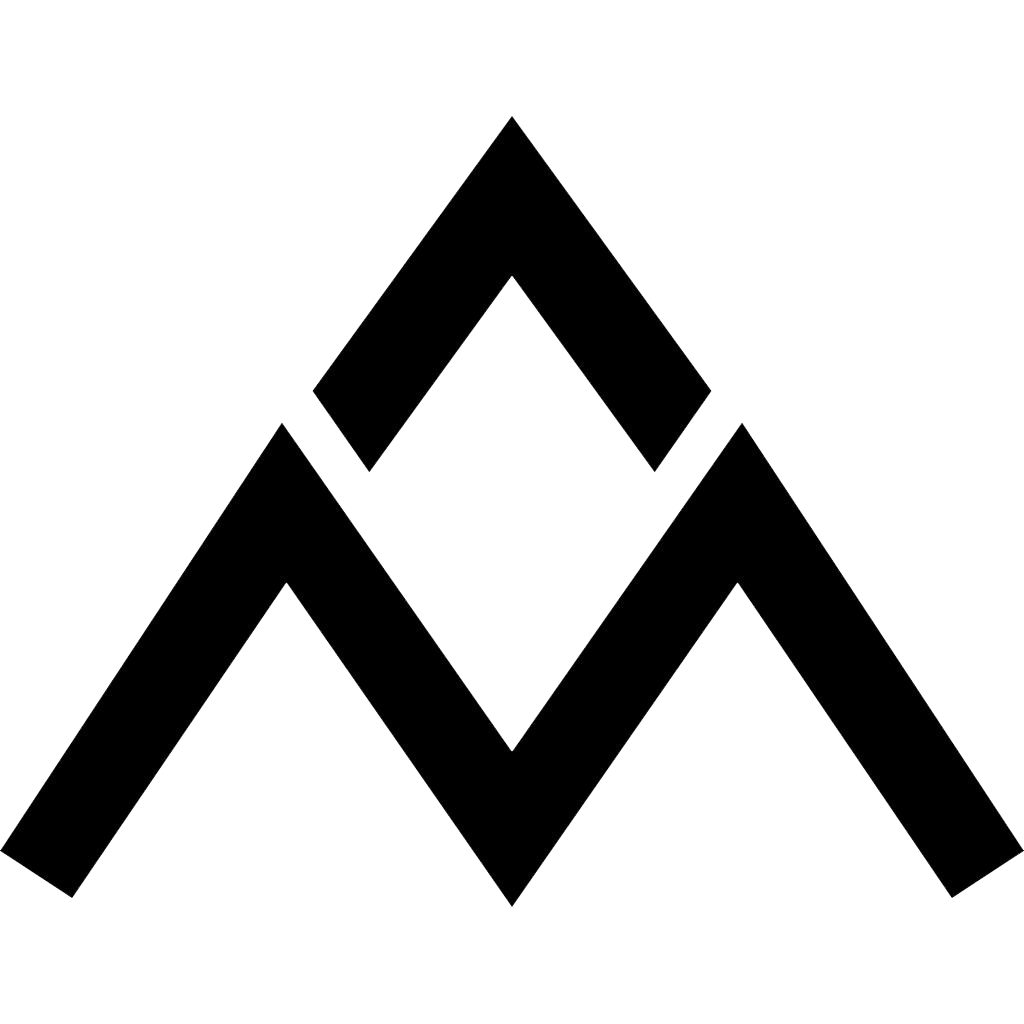 Литературная матрица