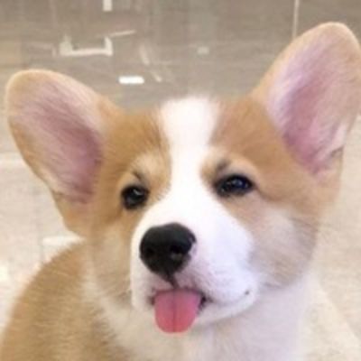 Маша Носкова