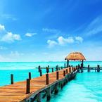 Дмитрий Морозов