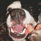 Ильдар Шайхаттаров