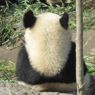 Ирина Егорова