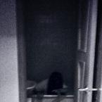 Маша Исаева