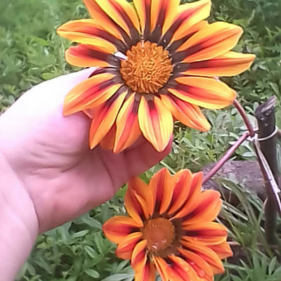 Татьяна Пермякова