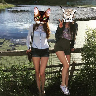 Виолетта Николаева