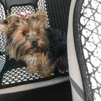 Лилия Краснова