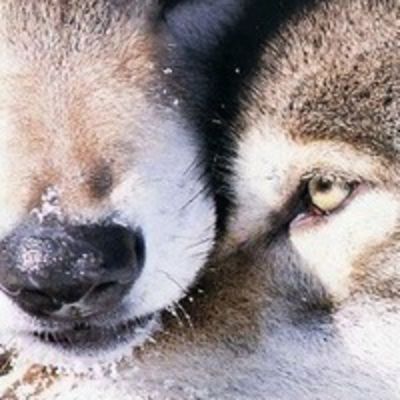 Эльвира Юсупова