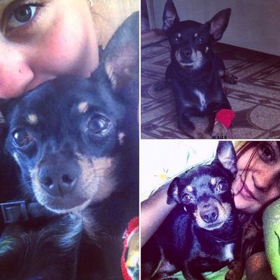 Ксения Волкова