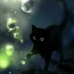 Мирослава Мандрико