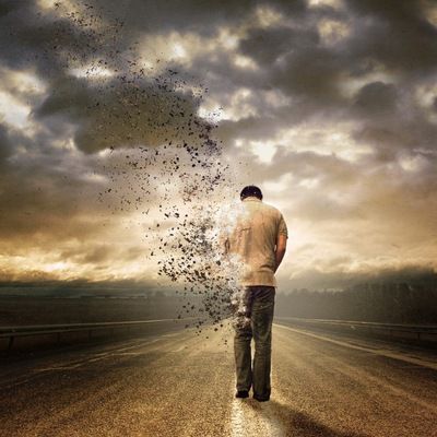 Василиса Фрид