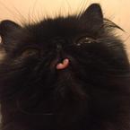 Святослав Котельников