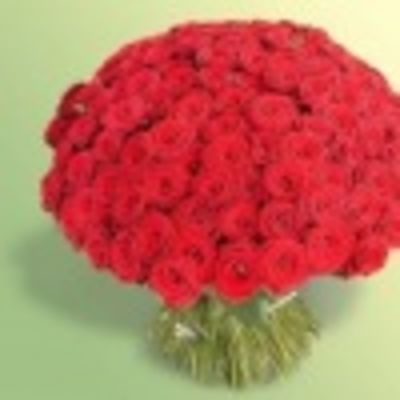 Марина Болотаева