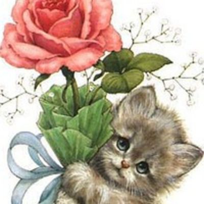 Инна Сюнина