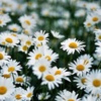 Юлия Петрова