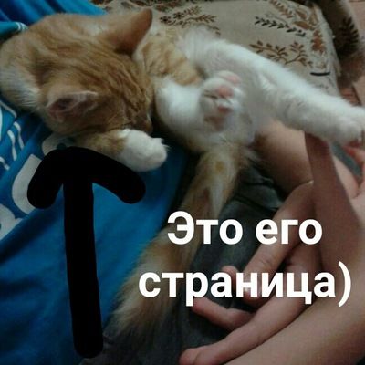 Александр Шестаков