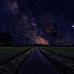 Виктория Щипкова