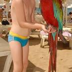 Константин Кулешов