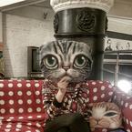 Елизавета Федорова