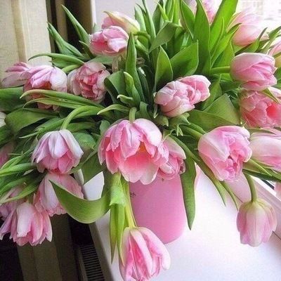 Оля Шадрина