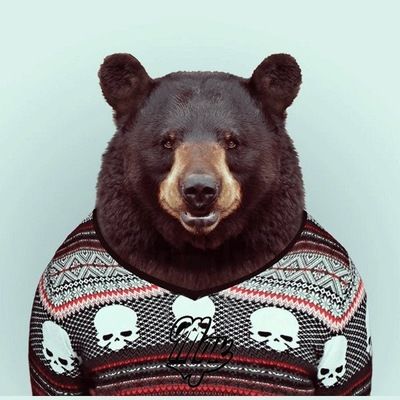 Гоша Лабков