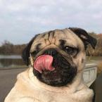 Алена Королёва