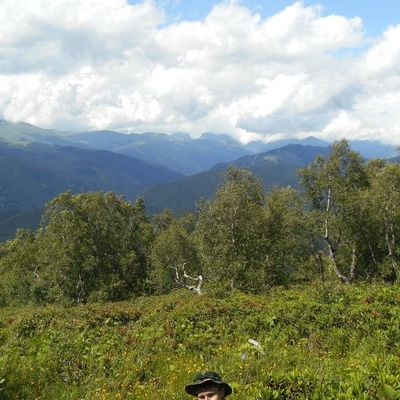 Николай Литвинов