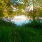 Николай Гладилин