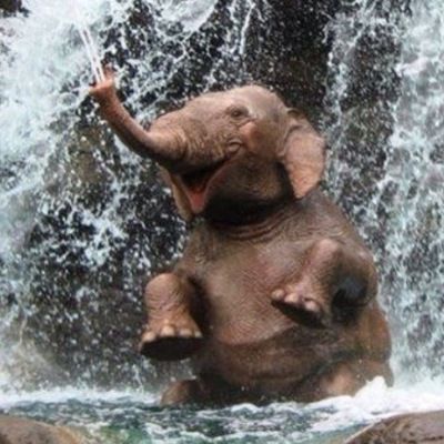 Катерина Артемьева