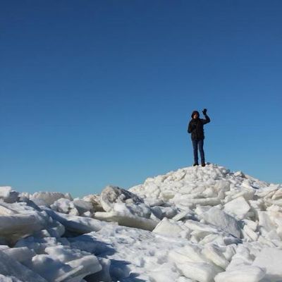 Дима Лебедев