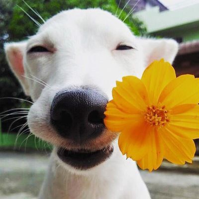 Вася Кузнецов