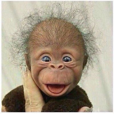 Владимир Князев