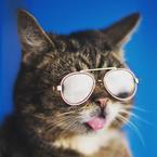 Юлия Рассказова