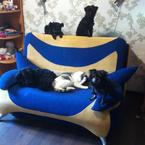 Елена Пименова