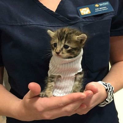 Ксения Полякова